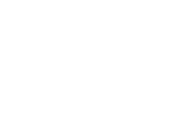 Logo Kurt und Felicitas Viermetz Stiftung